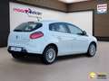 Fiat Bravo 1.4 T-Jet Dynamic ✅All Season✅Clima✅Cruise✅ Wit - thumbnail 3