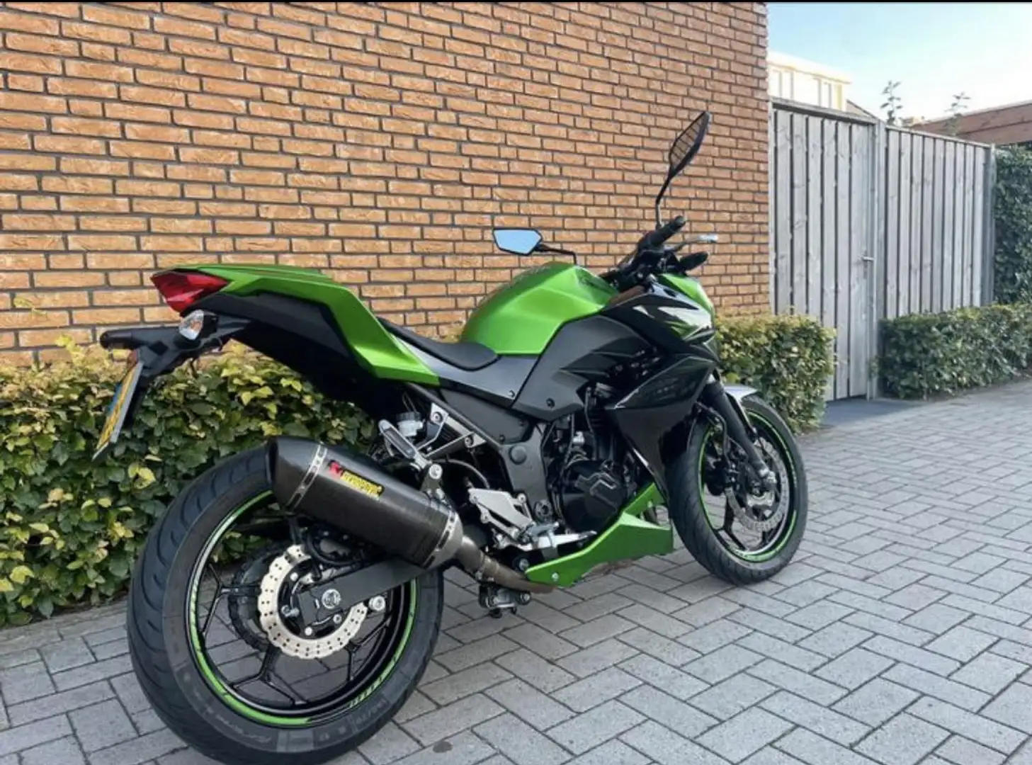 Kawasaki Z 300 ABS - Acrapovic - 2017 Groen - 2