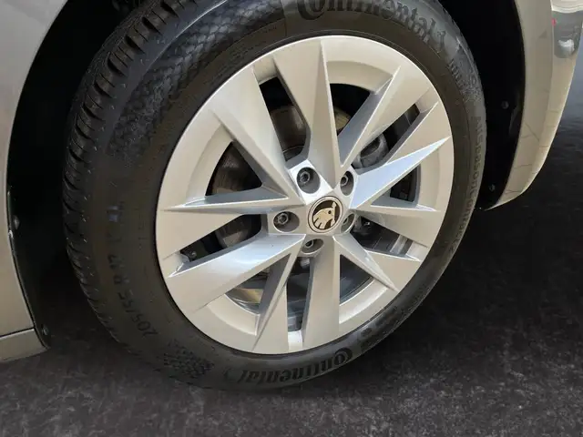Skoda Octavia view 15