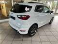 Ford EcoSport ST-Line Neuzustand Blanc - thumbnail 5