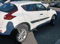 Nissan Juke Juke I 2010 1.6 Visia Bianco - thumbnail 5