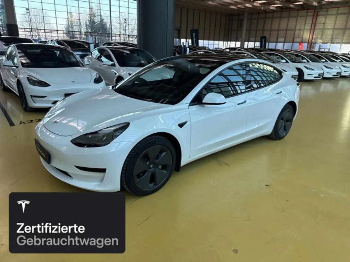 Tesla Model 3 Rear-Wheel Drive Weiß - 1