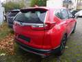 Honda CR-V 1,5 T Elegance 2WD Nav. Rouge - thumbnail 9