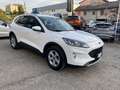 Ford Kuga 3ª serie 1.5 EcoBoost 120 CV 2WD Connect Blanco - thumbnail 4