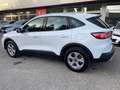 Ford Kuga 3ª serie 1.5 EcoBoost 120 CV 2WD Connect Bianco - thumbnail 10
