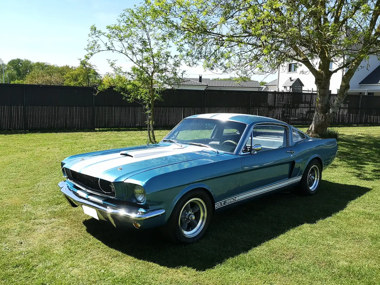 Ford Mustang Fastback, foto 1