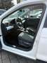 SEAT Arona 1.0 TSI Style NAVI PDC KLIMA SHZ LM FULLLI Blanc - thumbnail 10
