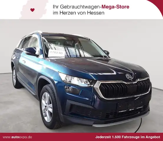 2023 Skoda Kodiaq in Blue for sale