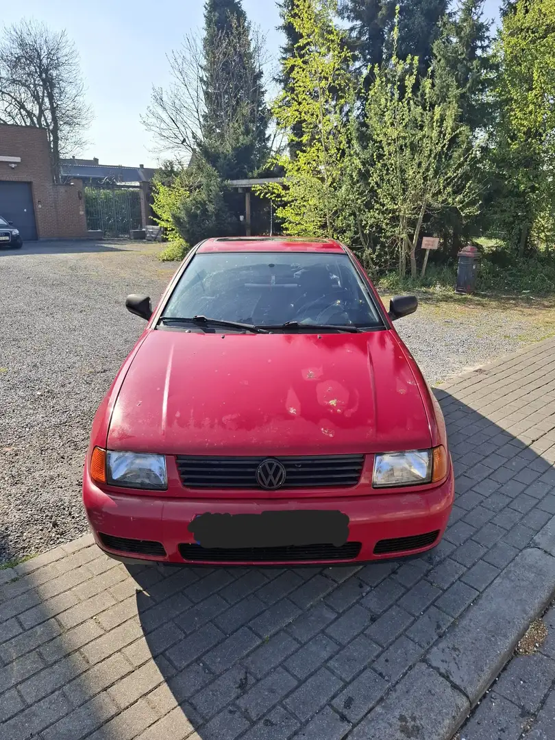 Volkswagen Polo - 1