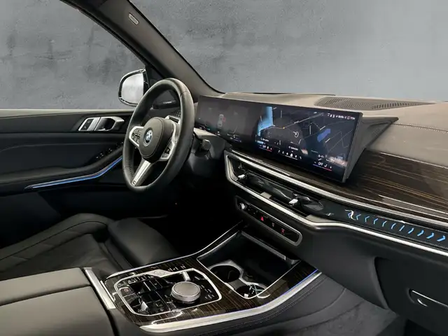 BMW X5 X5 view 12