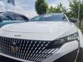 Peugeot 408 GT Hybrid 136 E-DCS6 Weiß - thumbnail 13