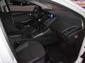 Ford Focus 1.0 Ecoboost Auto-S&S Trend Weiß - thumbnail 9