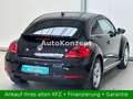 Volkswagen Beetle Sport|1Hd|Navi|Pano|BiXenon|SHZ|Temp|PDC| Schwarz - thumbnail 6