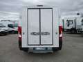 Fiat Ducato 2.3 M-JET 130CV E6 FRIGO FRCX -20° 03/26 215 KM Bianco - thumbnail 5
