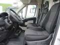 Fiat Ducato 2.3 M-JET 130CV E6 FRIGO FRCX -20° 03/26 215 KM Bianco - thumbnail 11
