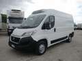 Fiat Ducato 2.3 M-JET 130CV E6 FRIGO FRCX -20° 03/26 215 KM Bianco - thumbnail 3