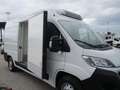 Fiat Ducato 2.3 M-JET 130CV E6 FRIGO FRCX -20° 03/26 215 KM Bianco - thumbnail 7