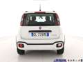 Fiat Panda Cross 1.0 FireFly S&S Hybrid Blanc - thumbnail 6