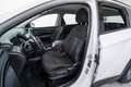 Hyundai TUCSON 1.6 CRDI 48V Maxx 4x4 DT Blanc - thumbnail 13