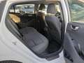 Hyundai IONIQ HEV 1.6 GDI Tecno Blanc - thumbnail 7