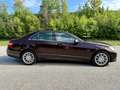 Mercedes-Benz E 200 E 200 Elegance A-Edition CDI Aut. -  Pickerl Neu, Ahk,Leder,Top Zustand Braun - thumbnail 5