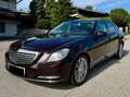 Mercedes-Benz E 200 E 200 Elegance A-Edition CDI Aut. -  Pickerl Neu, Ahk,Leder,Top Zustand Braun - thumbnail 1