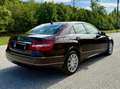 Mercedes-Benz E 200 E 200 Elegance A-Edition CDI Aut. -  Pickerl Neu, Ahk,Leder,Top Zustand Braun - thumbnail 4