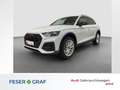 Audi Q5 advanced 50 TFSI e S line AHK HUD RFK ACC Weiß - thumbnail 1