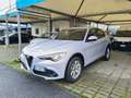 Alfa Romeo Stelvio Stelvio 2.2 Turbodiesel 160 CV AT8 RWD Business Grau - thumbnail 1