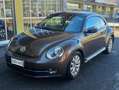 Volkswagen Maggiolino Maggiolino 2011 1.2 tsi Design Ok Neo-Patentati Marrone - thumbnail 6