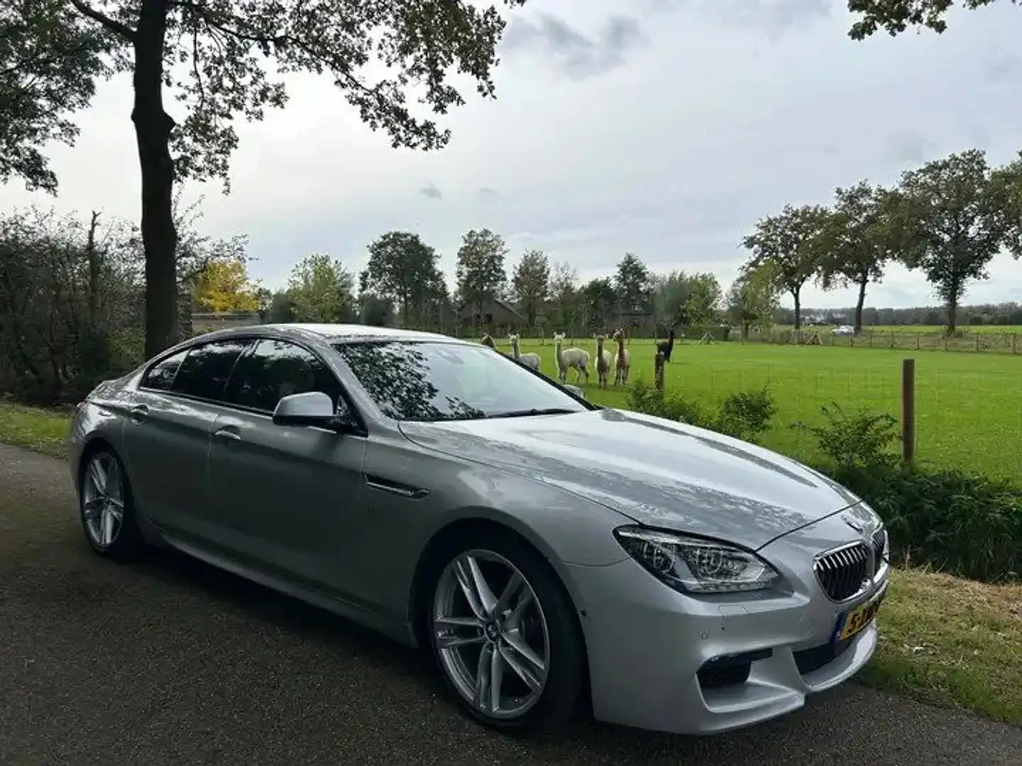 BMW 640 640i XDrive High Executive Gran Coupe Zilver - 1