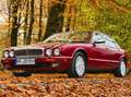 Daimler Six 4.0 (SWB) Rot - thumbnail 25