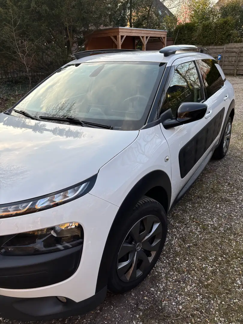 Citroen C4 Cactus C4 Cactus 1.2 PureT. Business Wit - 2