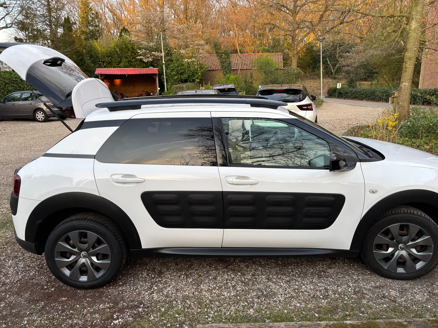 Citroen C4 Cactus C4 Cactus 1.2 PureT. Business Wit - 1