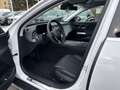 Mercedes-Benz E 220 d 4MATIC T-Modell All-Terrain LED PTS Pano Weiß - thumbnail 12