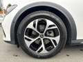 Mercedes-Benz E 220 d 4MATIC T-Modell All-Terrain SHZ Weiß - thumbnail 13