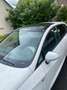 SEAT Ibiza Ibiza 1.2 TSI Ecomotive Style - thumbnail 17