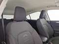 Ford Focus active 1.0 ecoboost s&s 125cv Bianco - thumbnail 12
