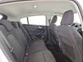 Ford Focus active 1.0 ecoboost s&s 125cv Bianco - thumbnail 14