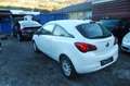 Opel Corsa 1.2 Edition---LKW Weiß - thumbnail 4