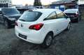 Opel Corsa 1.2 Edition---LKW Weiß - thumbnail 3