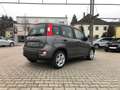Fiat New Panda 1.0 Hybrid *5 Sitzer Klima Komfort* siva - thumbnail 3