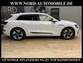 Audi e-tron 50 QU.S-Line SIDE&LANE/Kamera/LED/20/ S-Line Bianco - thumbnail 7