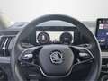 Skoda Kodiaq 2.0 TDI 142kW 4x4 Selection EU6e StandHZG AHK-klap Schwarz - thumbnail 12