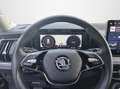 Skoda Kodiaq Selection 2.0 TDI 142kW 4x4 Schwarz - thumbnail 10