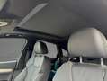 Audi Q5 SPB 40 TDI quattro S tronic S line plus +TETTO Grigio - thumbnail 8