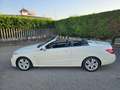 Mercedes-Benz E 220 Classe E -Cabrio 220 cdi Avantgarde BlueEFFICIENCY Bianco - thumbnail 5