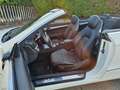 Mercedes-Benz E 220 Classe E -Cabrio 220 cdi Avantgarde BlueEFFICIENCY Bianco - thumbnail 11