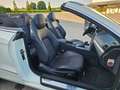 Mercedes-Benz E 220 Classe E -Cabrio 220 cdi Avantgarde BlueEFFICIENCY Bianco - thumbnail 14