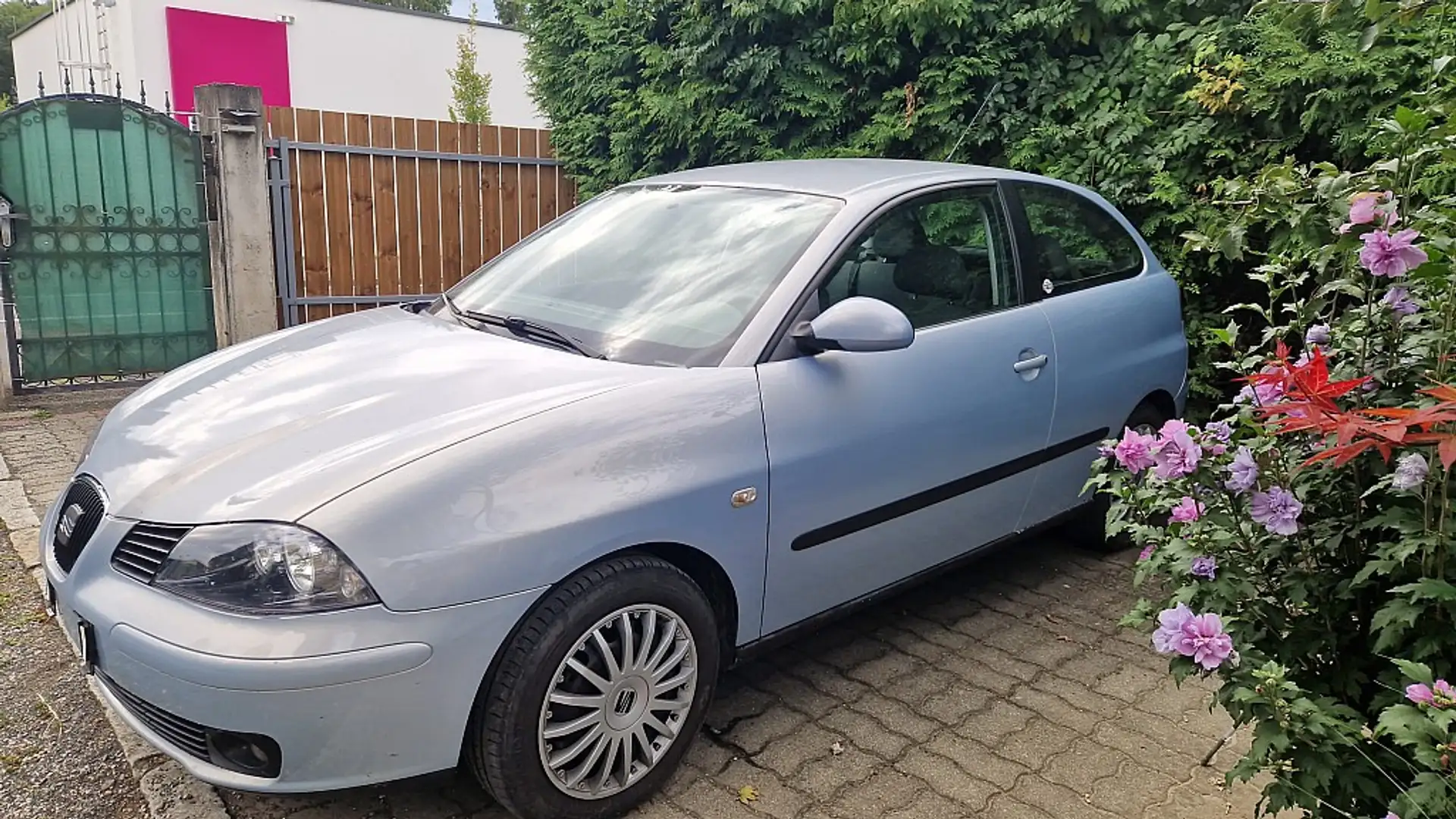 SEAT Ibiza Signo 1,4 16V Blau - 1